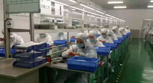 ipo惊现 黑心工厂 紫建电子逾千员工未缴社保